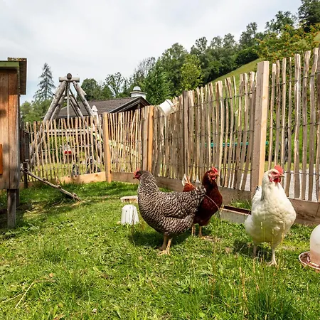 Apartamento Viehhofbauer Maria Alm am Steinernen Meer